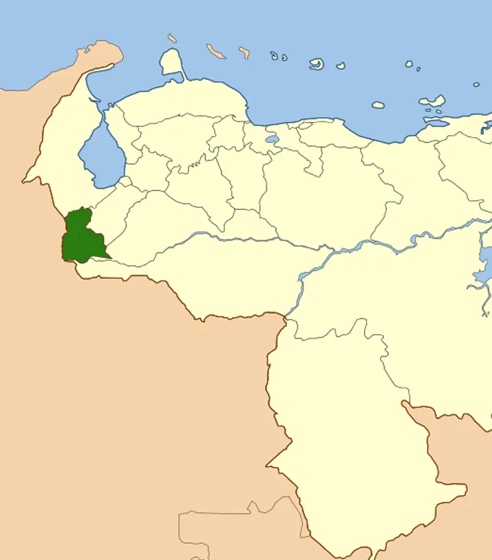 Rounded-Rectangle-2-copy-80